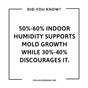 what causes mold growth